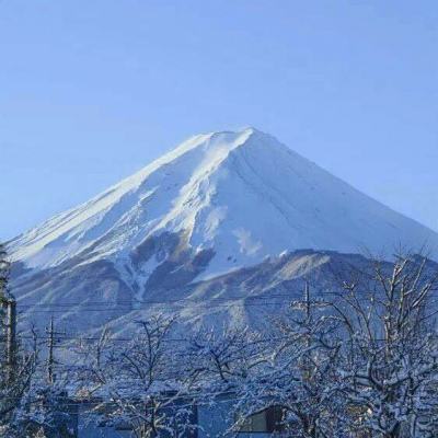 爱微游我的帝国手游下载
